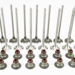 Set of Inlet & Exhaust Valves with Stem Seals for Peugeot 1.6 16v THP / VTi EP6