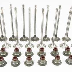 Set of Inlet & Exhaust Valves with Stem Seals for Mini Cooper & Cooper S 1.6 16v N12 / N14 / N18