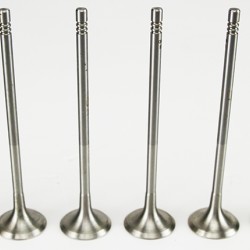 Set of 8 Exhaust Valves for BMW 114, 116, 118 120, 316 & 320 1.6 16v N13B16A 