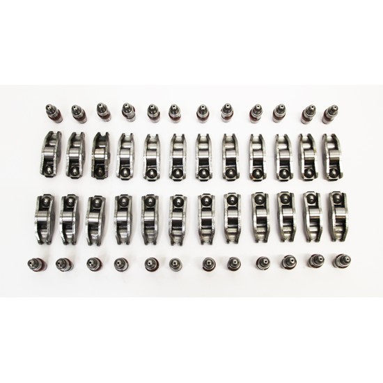 Set of Hydraulic Lifters & Rocker Arms for Citroen C5 & C6 2.7 & 3.0 HDi V6