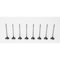 8 Inlet Valves for Ford Kuga, Mondeo, Focus, Galaxy, S-Max, Transit & Tourneo 2.0 EcoBlue