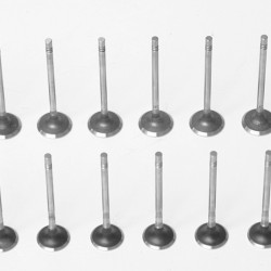 Set of 16 Engine Valves for Ford Kuga, Mondeo, Focus, Galaxy, S-Max, Transit & Tourneo 2.0 EcoBlue