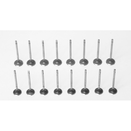 Set of 16 Engine Valves for Ford Kuga, Mondeo, Focus, Galaxy, S-Max, Transit & Tourneo 2.0 EcoBlue