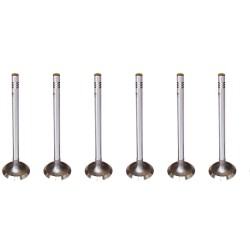 Set of 8 Inlet Valves for Nissan 2.0 & 2.3 dCi - M9R & M9T