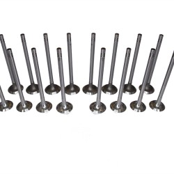 Full set of Engine Valves for Renault 2.0 & 2.3 dCi M9R & M9T