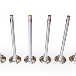 Set of 8 Exhaust Valves for Nissan Qashqai, X-Trail, Primastar, NV400 2.0 & 2.3 dCi M1D, M9R & M9T