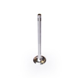 Exhaust Valve for Nissan Qashqai, X-Trail, Primastar, NV400 2.0 & 2.3 dCi M1D, M9R & M9T