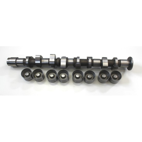 Camshaft Kit for Seat Arosa, Corboba, Ibiza, Inca 1.4 8v | AEX, AKV, ANX, APQ