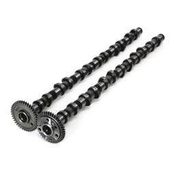 Pair Inlet & Exhaust Camshafts BMW 325d, 330d, 430d, 525d, 530d, 730d, X3, X4, X5 & X6 3.0 D N57D20