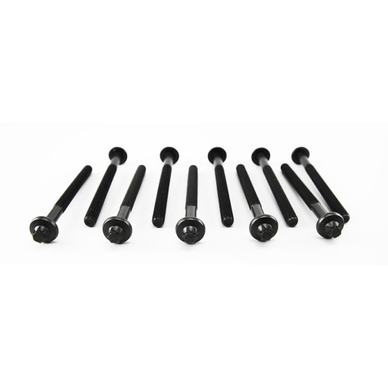 Dacia Duster & Logan & Sandero 1.6 16v K4M Cylinder Head Bolts