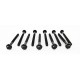 Dacia Duster & Logan & Sandero 1.6 16v K4M Cylinder Head Bolts