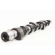 Camshaft For Fiat 1.9 JTD / D Multijet 8v