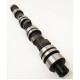 Camshaft for Ford Escort & Fiesta RS Turbo 1.6 CVH 