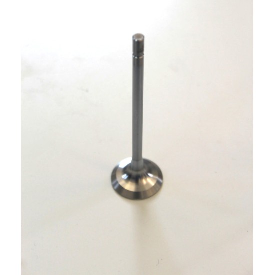 Exhaust Valve for Vauxhall 2.0 Petrol 