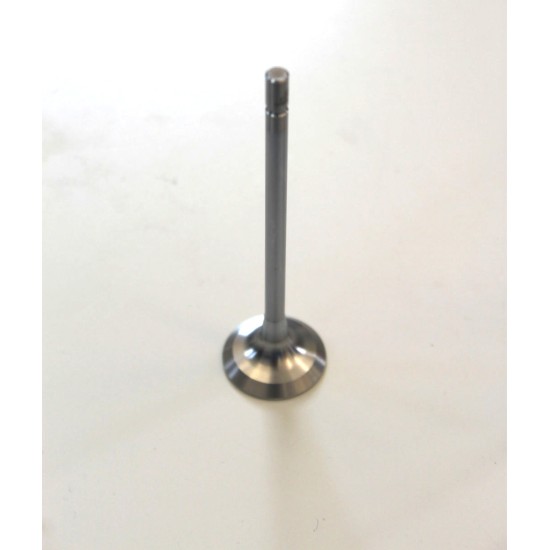 Exhaust Valve for Renault 1.8, 2.0 Petrol