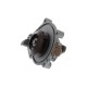 Water Pump for DS DS3, DS4, DS5​ & DS7 1.6 THP EP6 - 5GC, 5GF, 5GM, 5GR, 5GZ