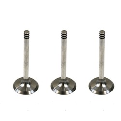 Set of 3 Inlet Valves for VW / Volkswagen Fox & Polo 1.4 TDi