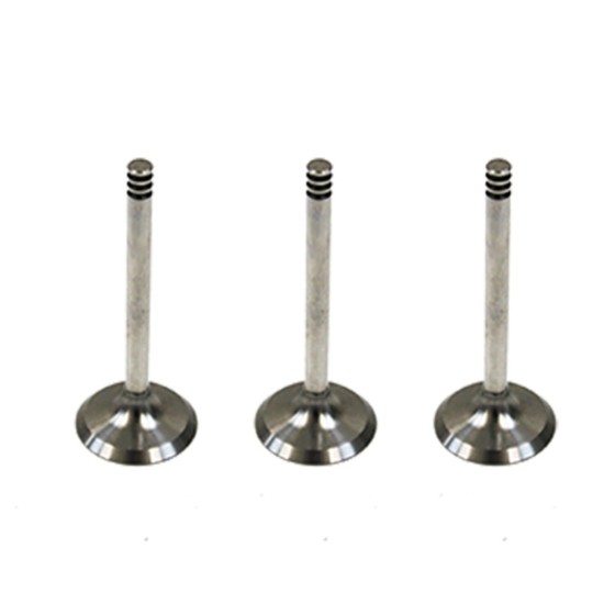 Set of 3 Inlet Valves for Skoda Fabia & Roomster 1.4 TDi