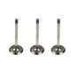 Set of 3 Inlet Valves for Seat Cordoba & Ibiza 1.4 TDi 6v