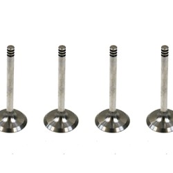 Set of 10 Inlet Valves for VW / Volkswagen Touareg 5.0 TDi