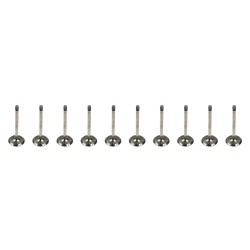 Set of 10 Inlet Valves for VW / Volkswagen Touareg 5.0 TDi