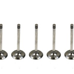 Set of 5 Inlet Valves for VW / Volkswagen Transporter 2.5 TDi 10v