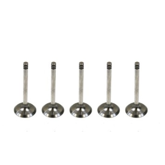 Set of 5 Inlet Valves for VW / Volkswagen Transporter 2.5 TDi 10v