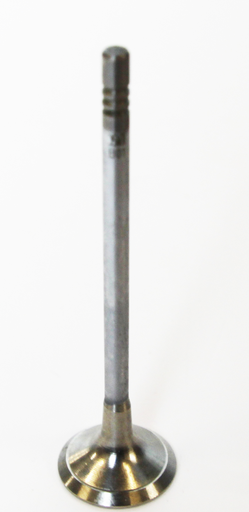 DNJ Engine Components® EV459 - Exhaust Valve